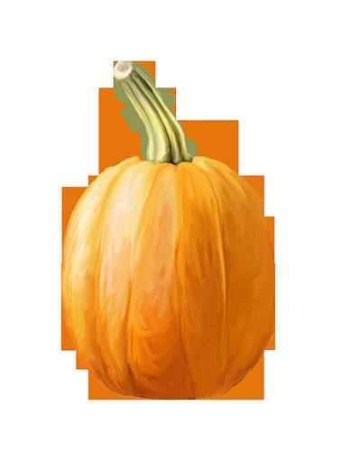 63.jpg