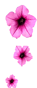 642.gif