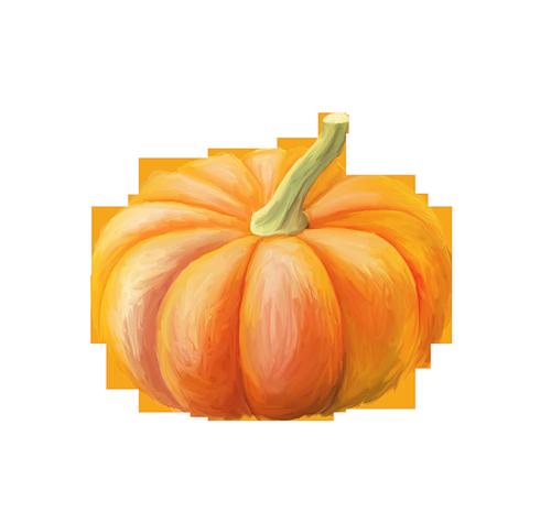 65.jpg
