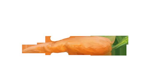 72.jpg