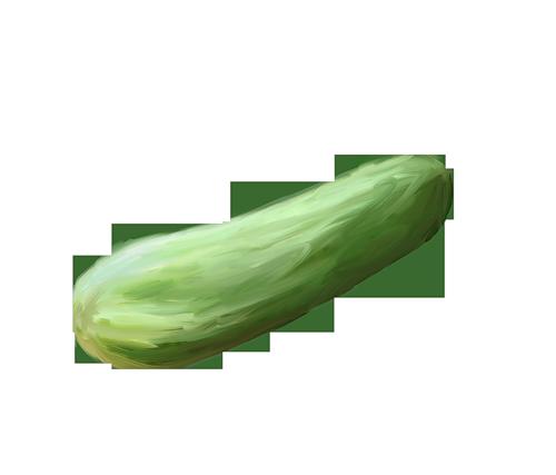 73.jpg