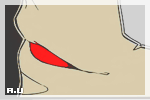 780.gif