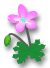 46.gif