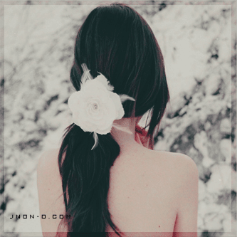 156.gif