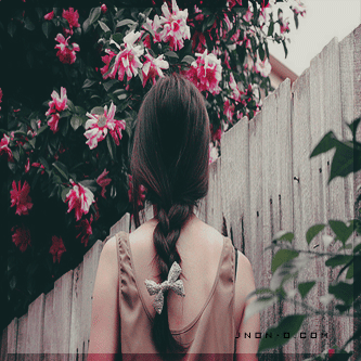 169.gif