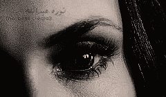 176.gif