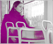 221.gif