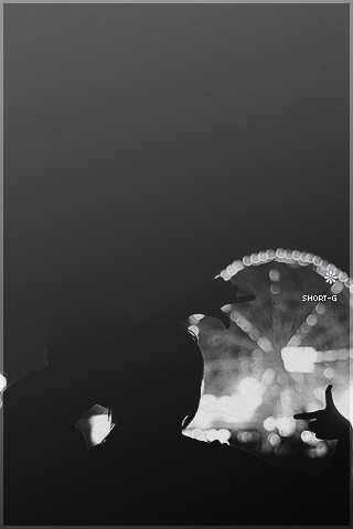 233.png