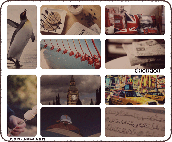 31.gif