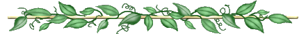33.gif