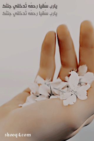 12.gif