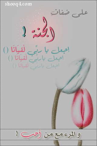 2.gif