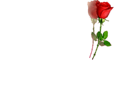 22.gif
