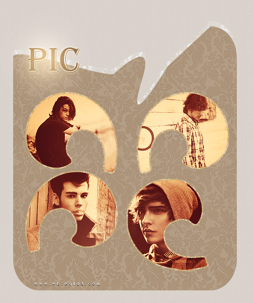 284.png