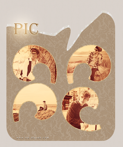 291.png