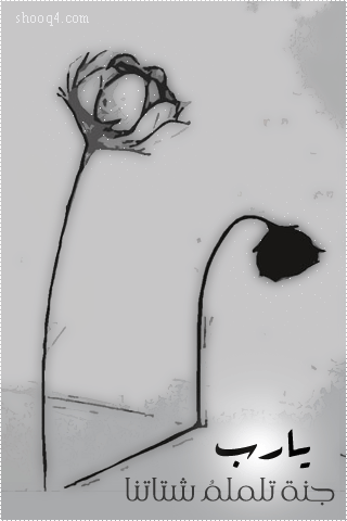 4.gif