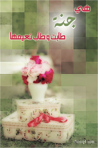 7.gif