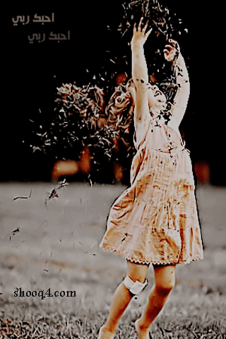 8.gif