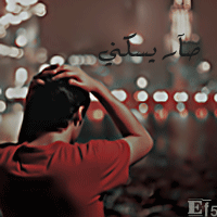 141.gif