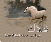 155.gif