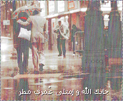 175.gif