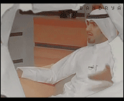 181.gif