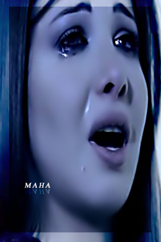 212.jpg