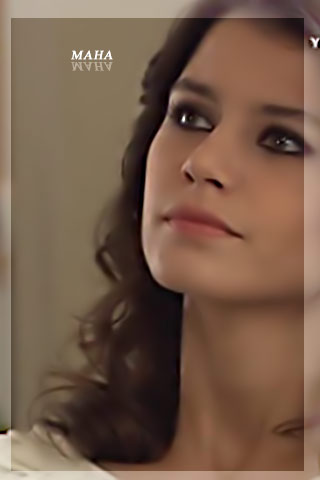 223.jpg