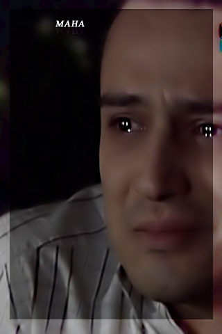 239.jpg