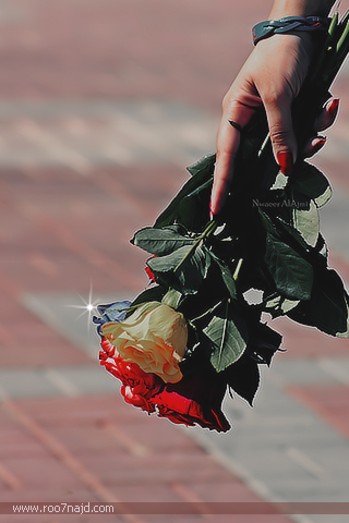 243.png