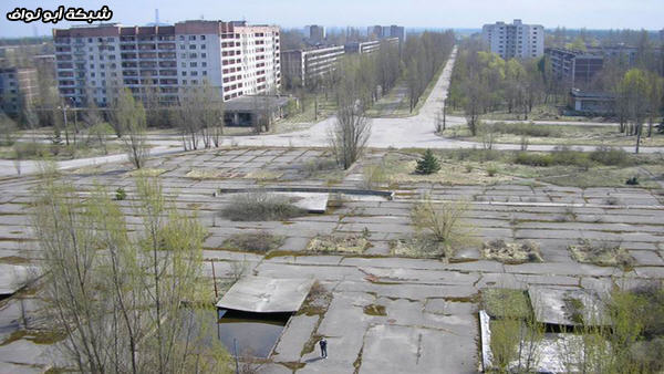 387.jpg