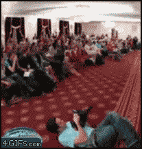 4.gif
