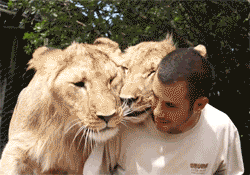 43.gif