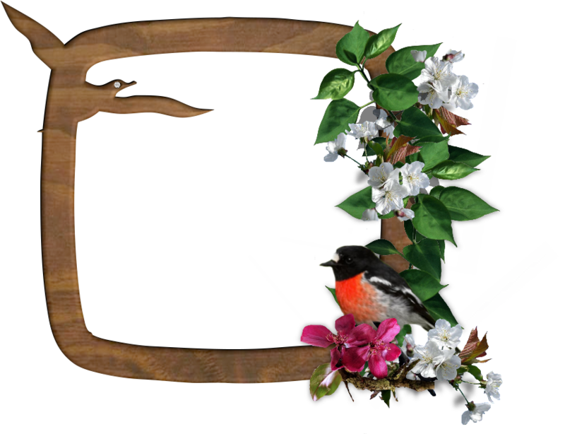 144.png
