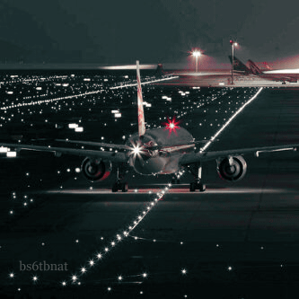 17.gif