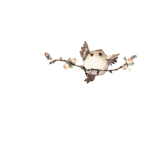 201.png