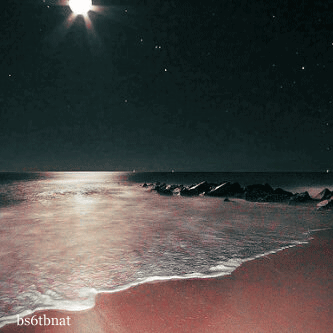 23.gif