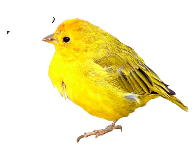260.png