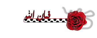 80.gif