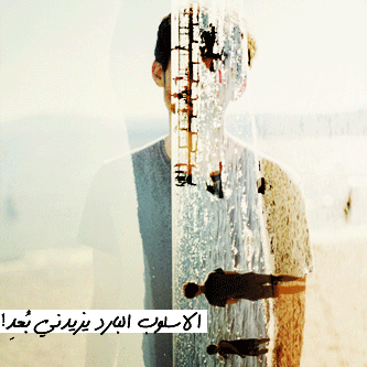 121.gif