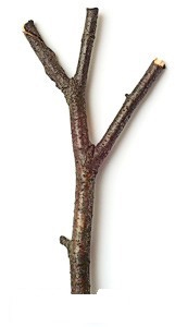 158.jpg