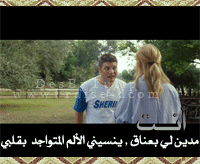 211.gif
