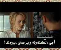 213.gif