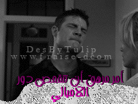 219.gif