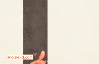 225.gif