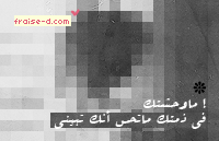 238.gif