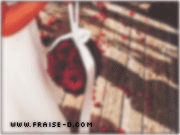 254.gif
