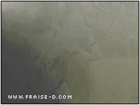 262.gif