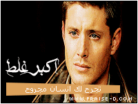 266.gif