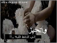 269.gif